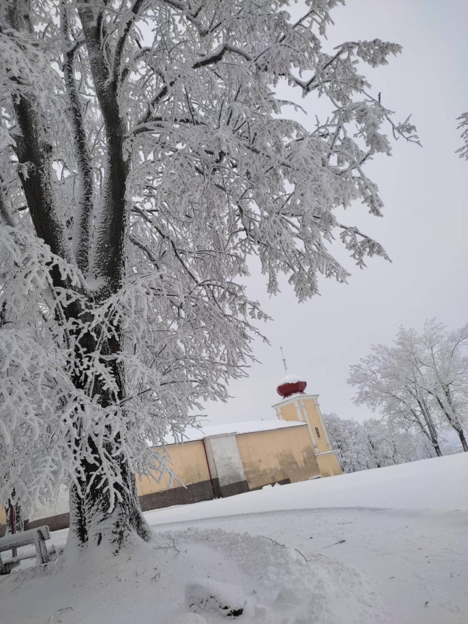 Hotel Poutni Dum Králíky Bagian luar foto