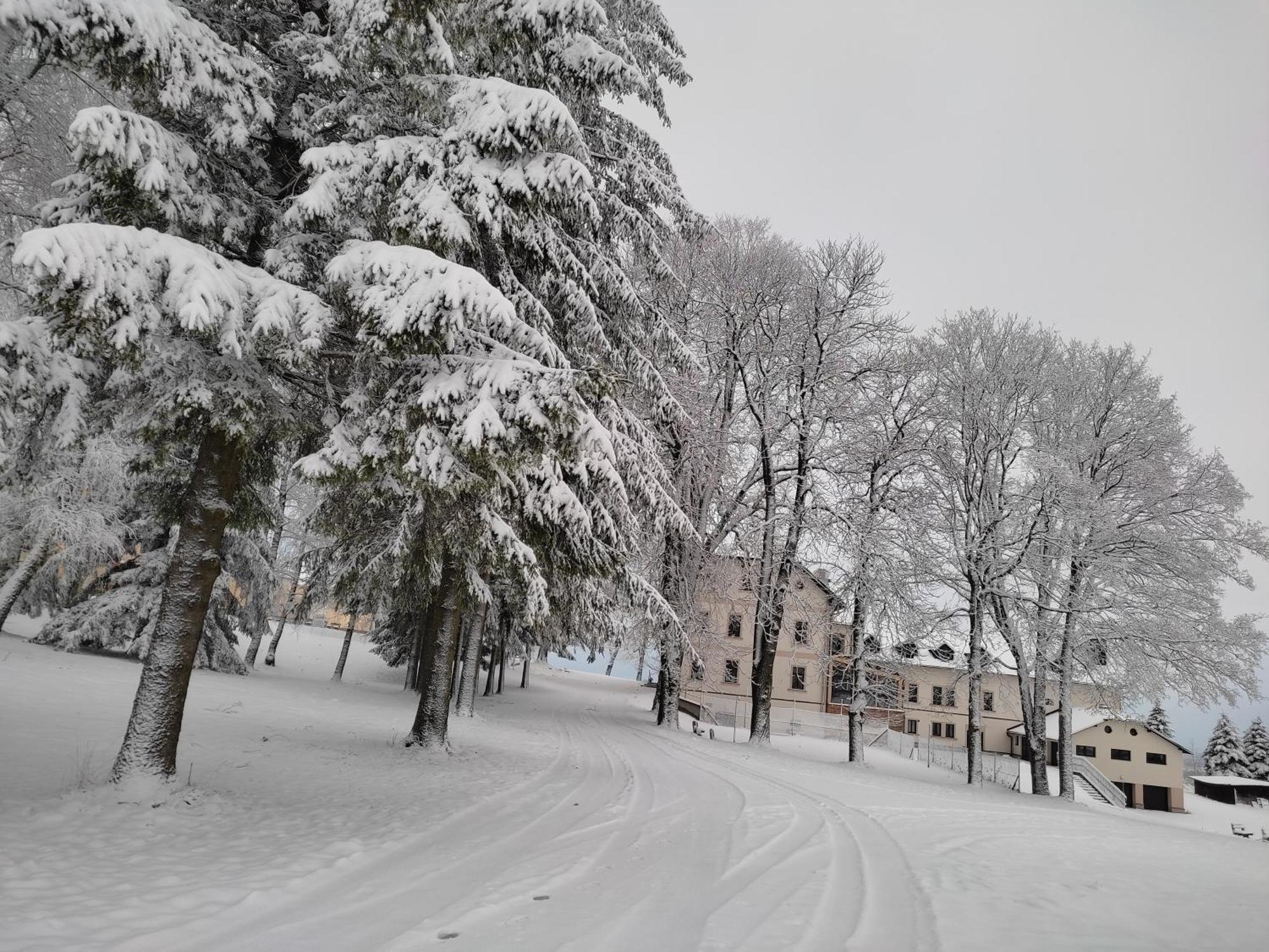 Hotel Poutni Dum Králíky Bagian luar foto